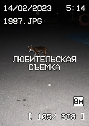 Вспышка: между ностальгией и лиминальностью