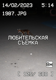 Вспышка: между ностальгией и лиминальностью Вспышка: между ностальгией и лиминальностью