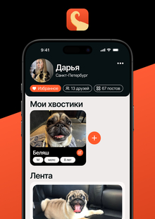 ХВОСТОМ