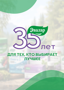 Разработка юбилейного логотипа для компании «Эвалар»