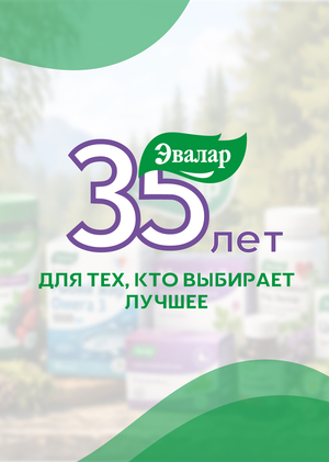 Разработка юбилейного логотипа для компании "Эвалар"