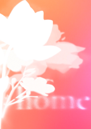 Daughter — Home