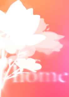 Daughter&nbsp;— Home