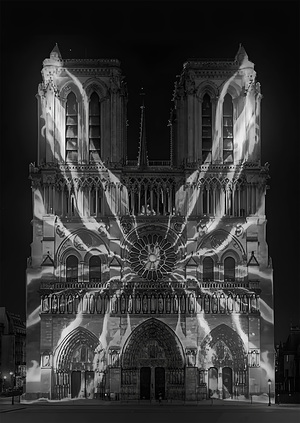 ANIMA ORGANI