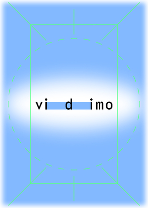 VIDIMO OPTICS | айдентика