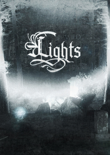The Wild Lights The Wild Lights