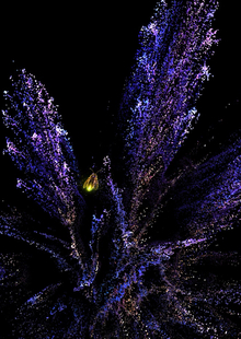 TouchDesigner