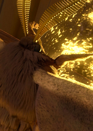Houdini:  Towards the Light