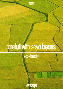 So&nbsp;Sooya