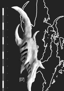deepseahaze ceramics