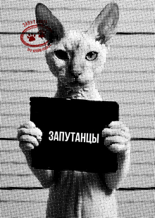 «Запутанцы»