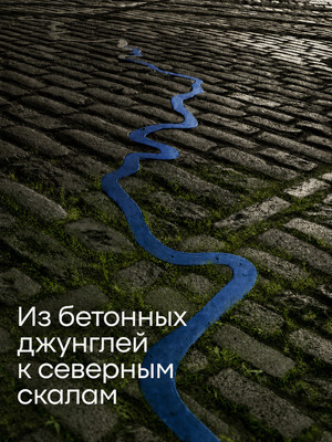 Северные тропы