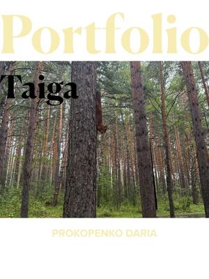 Тайга 