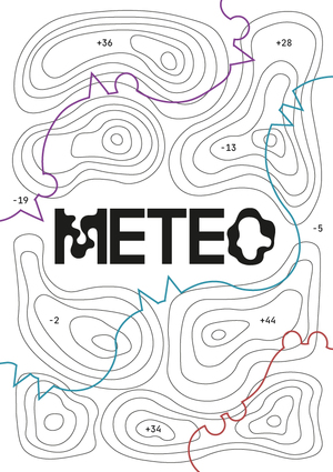 METEO - погода на заказ