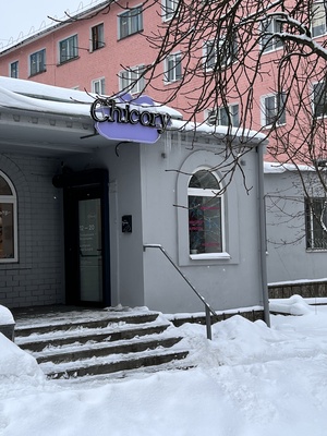 Цикорий. Институция-утопия. 2016 — н.в.