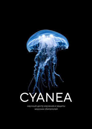 CYANEA CYANEA