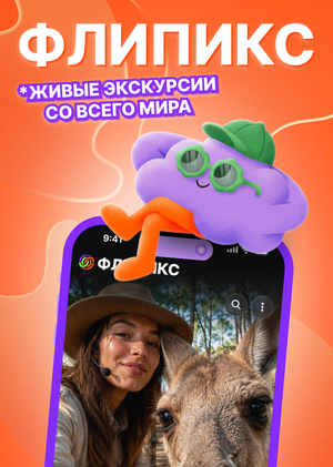 Флипикс