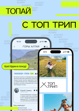 Топ Трип