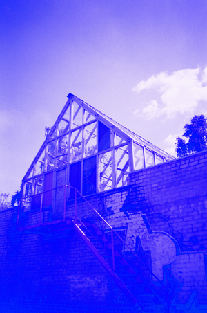 hothouse #13. 2025