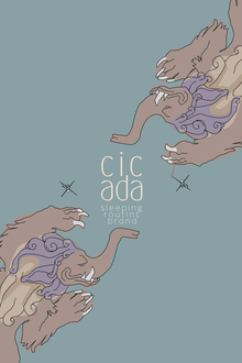 Cicada