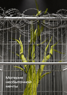 Материя несбыточной мечты Материя несбыточной мечты