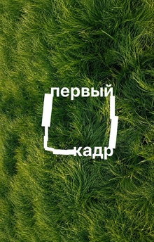 первый кадр первый кадр