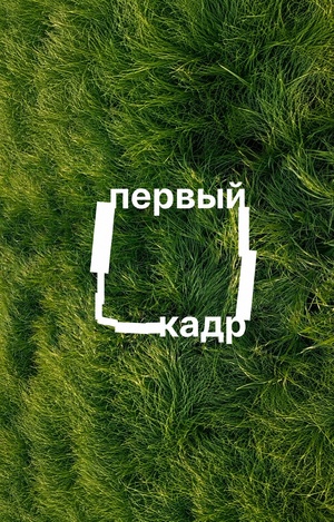 первый кадр 