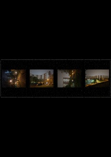 Тетраптих «Ночной дамп»