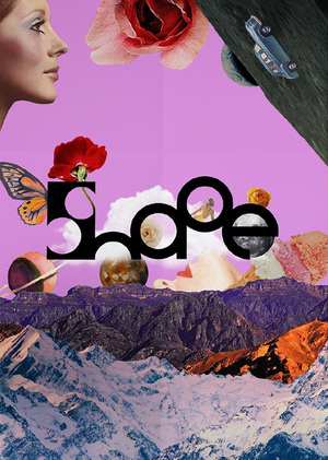brandbook shape 