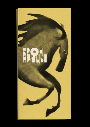 Бронницы. Гид