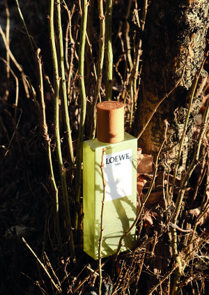 Серия фото для парфюма Loewe
