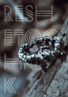 RESHETOCHNIK