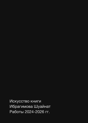 Портфолио 2026