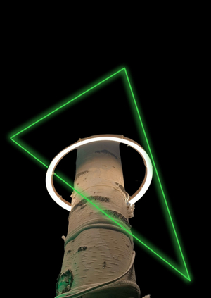 Русалка в треугольнике