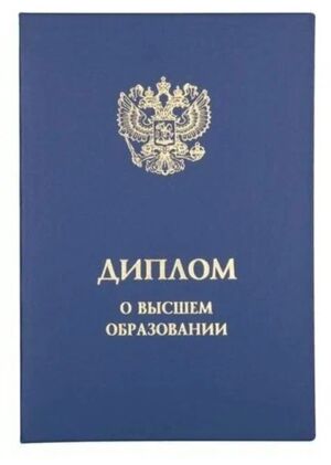 Мотивационное письмо и портфолио Рябцева