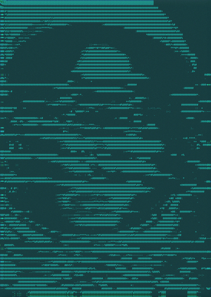 VERSION CONTROL