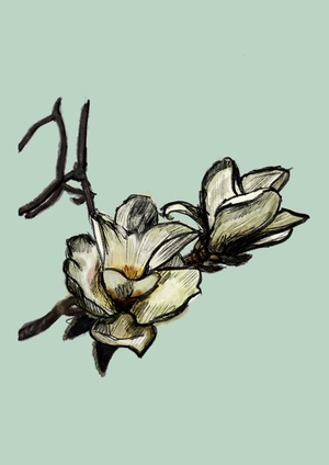 Paradise in Bloom. Episodes of Life