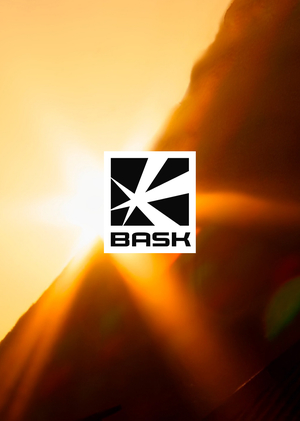 Брендбук BASK