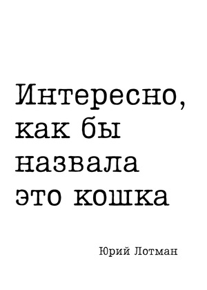 Цитата профессора дня