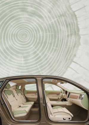 BIO CMF INTERIOR