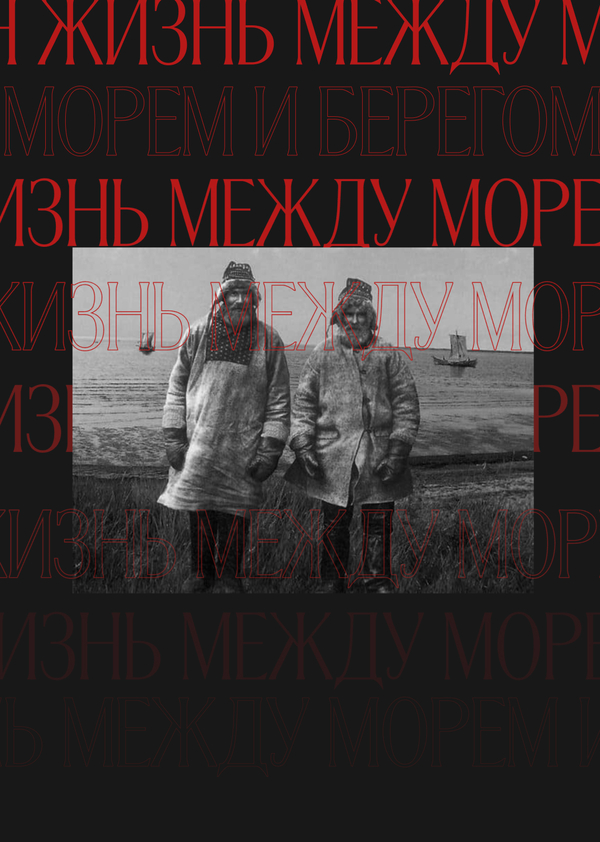 Поморы
