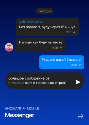 Аномалия — мессенджер для закрытого бизнес-сообщества