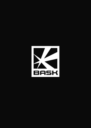 Интернет-магазин BASK