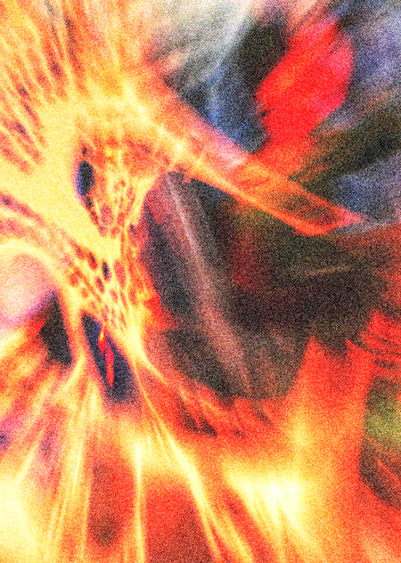 PORTFOLIO 2026