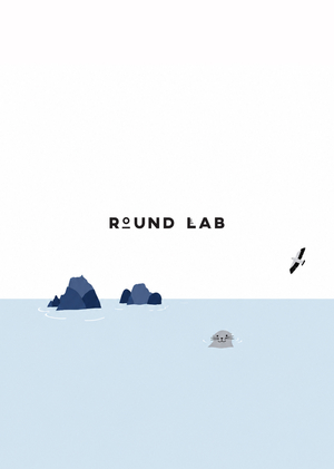 ROUND LAB Инфографика