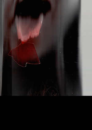 Scanography