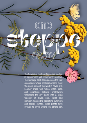 One Steppe Away