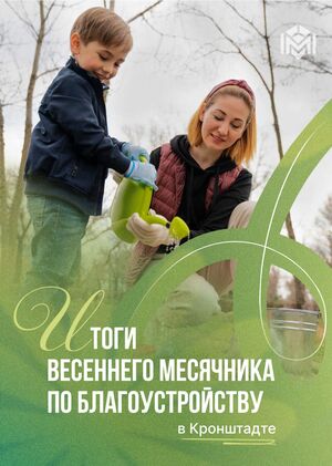 Весенний субботник в цифрах
