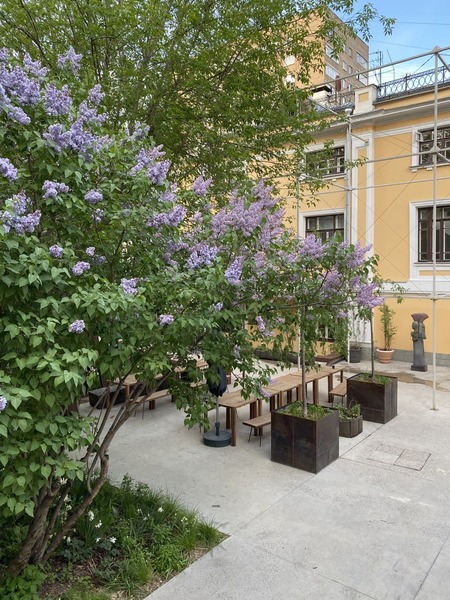 Сад для отеля Рихтер, Москва, 2018-2026