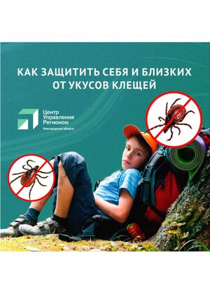 Анимация "Защита от клещей"